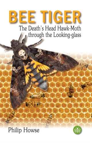 Cover image for 9781908241627 - Bee Tiger