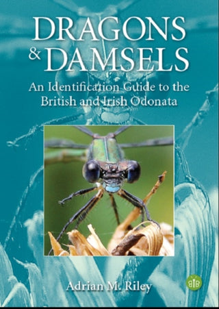 Cover image for 9781908241641 - Dragons and Damsels