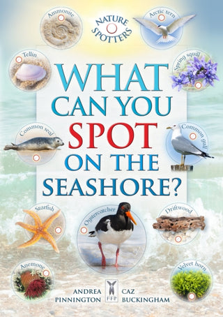 Cover image for 9781908489708 - What Can You Spot on the Seashore?