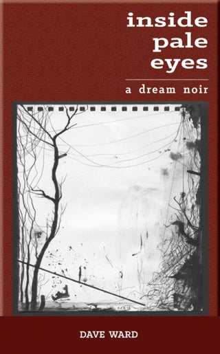 Cover image for 9781908577856 - Inside Pale Eyes