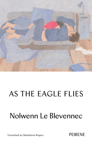 Cover image for 9781908670830 - As The Eagle Flies