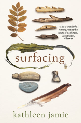 Cover image for 9781908745828 - Surfacing