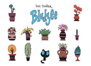Cover image for 9781908830203 - Bludzee