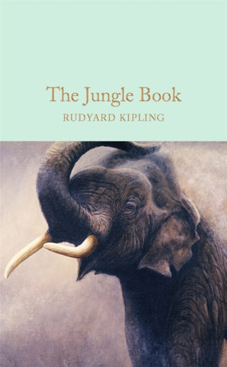 Supplemental image for 9781909621817 - The Jungle Book
