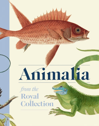 Cover image for 9781909741928 - Animalia