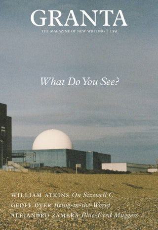 Cover image for 9781909889477 - Granta 159: What Do You See?