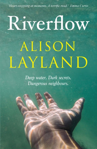 Cover image for 9781909983977 - Riverflow
