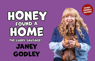 Cover image for 9781910022702 - Honey Found a Home