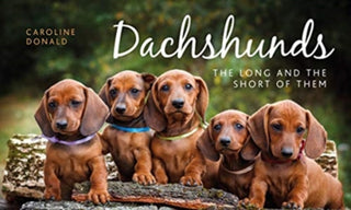 Cover image for 9781910258279 - Dachshunds