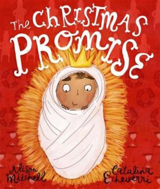 Cover image for 9781910307113 - The Christmas Promise Storybook