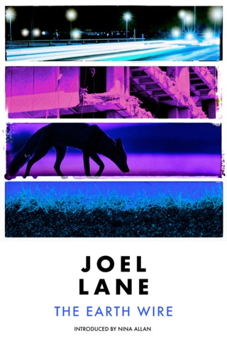 Cover image for 9781910312575 - The Earth Wire