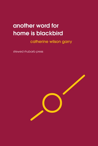 Cover image for 9781910416266 - Another word for home is blackbird