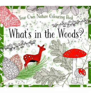 Cover image for 9781910562383 - What's in the Woods?