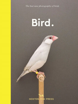 Cover image for 9781910566718 - Bird.