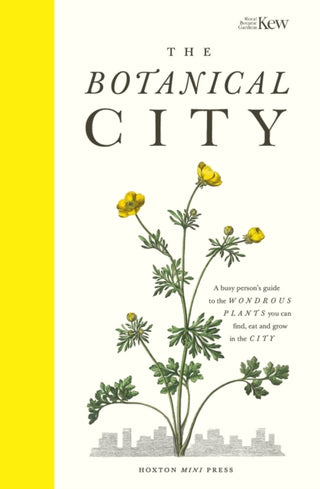 Cover image for 9781910566794 - The Botanical City