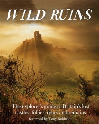 Cover image for 9781910636022 - Wild Ruins