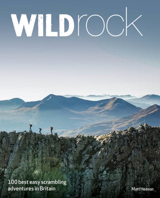 Cover image for 9781910636671 - Wild Rock