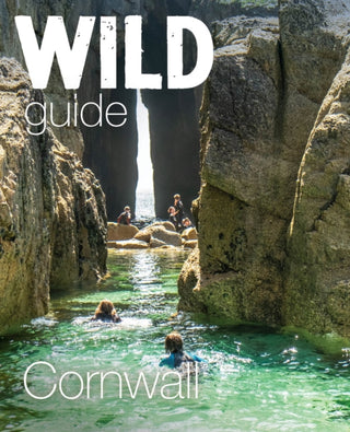 Cover image for 9781910636763 - Wild Guide Cornwall