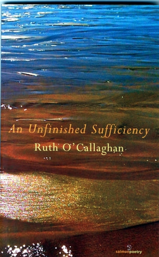 Cover image for 9781910669044 - An Unfinished Sufficiency