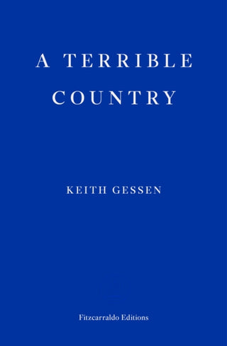 Cover image for 9781910695760 - A Terrible Country