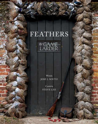 Cover image for 9781910723739 - Feathers