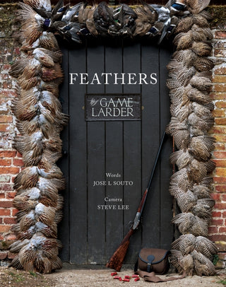 Supplemental image for 9781910723739 - Feathers