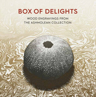 Cover image for 9781910807385 - Box of Delights