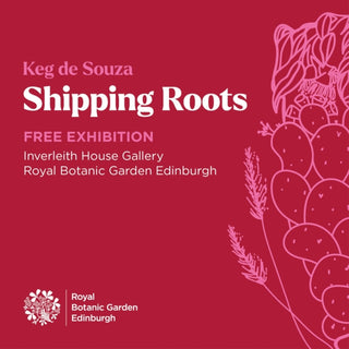 Cover image for 9781910877517 - Shipping Roots
