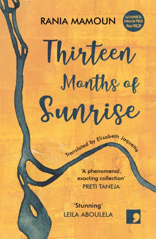 Cover image for 9781910974391 - Thirteen Months of Sunrise