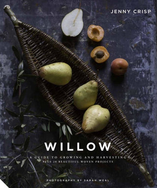 Cover image for 9781911127710 - Willow