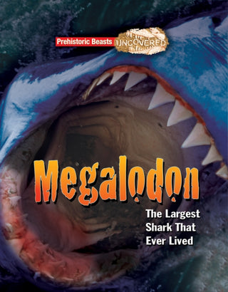 Cover image for 9781911341772 - Megalodon
