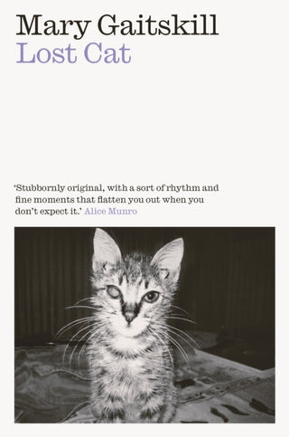 Cover image for 9781911547808 - Lost Cat