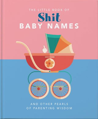 Cover image for 9781911610502 - The Little Book of Shit Baby Names