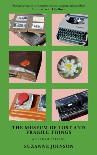 Cover image for 9781911648680 - The Museum of Lost and Fragile Things: A Year of Salvage