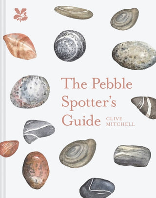 Cover image for 9781911657309 - The Pebble Spotter's Guide