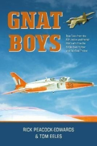 Cover image for 9781911667261 - Gnat Boys