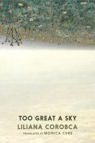 Cover image for 9781911710134 - Too Great A Sky