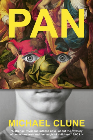 Supplemental image for 9781911717614 - Pan