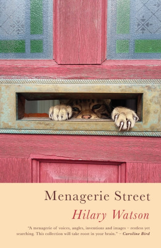 Cover image for 9781911752134 - Menagerie Street