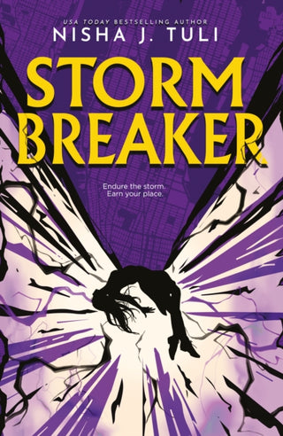 Cover image for 9781911753087 - Storm Breaker