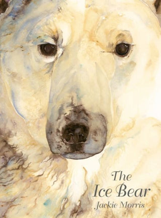 Cover image for 9781912050468 - Ice Bear, The
