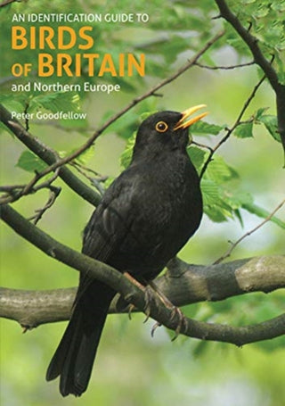 Cover image for 9781912081981 - An Identification Guide to Birds of Britain and Northern Europe (2nd edition)