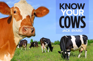 Cover image for 9781912158461 - Know Your Cows