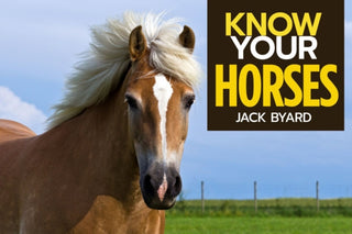 Cover image for 9781912158492 - Know Your Horses