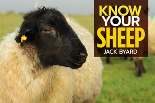 Cover image for 9781912158508 - Know Your Sheep