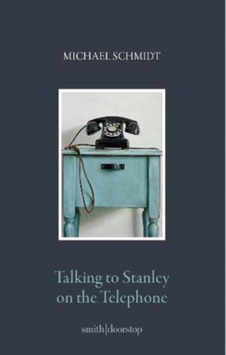 Cover image for 9781912196449 - Talking to Stanley on the Telephone