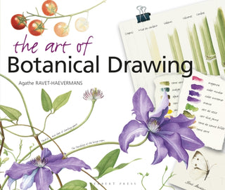 Cover image for 9781912217861 - The Art of Botanical Drawing