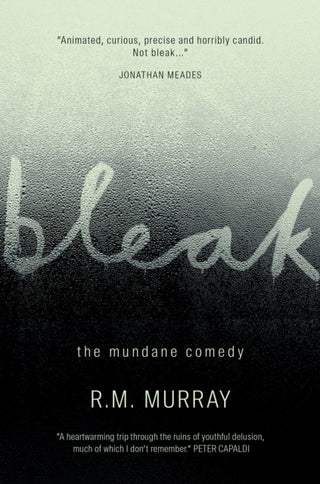 Cover image for 9781912235605 - Bleak