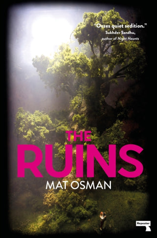 Cover image for 9781912248674 - The Ruins
