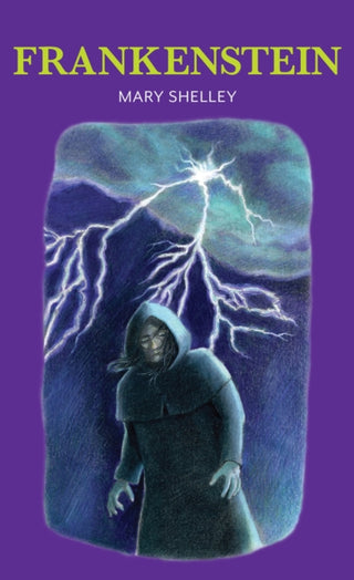 Cover image for 9781912464067 - Frankenstein